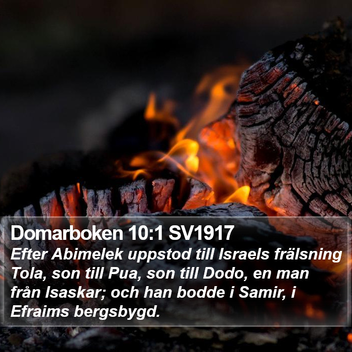 Domarboken 10:1 SV1917 Bible Study