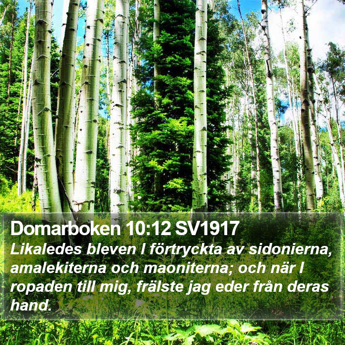 Domarboken 10:12 SV1917 Bible Study