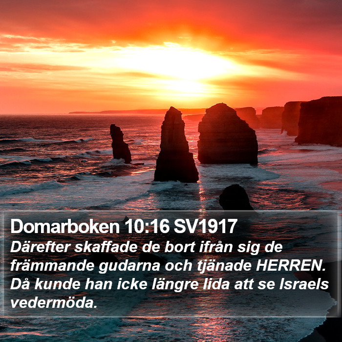Domarboken 10:16 SV1917 Bible Study