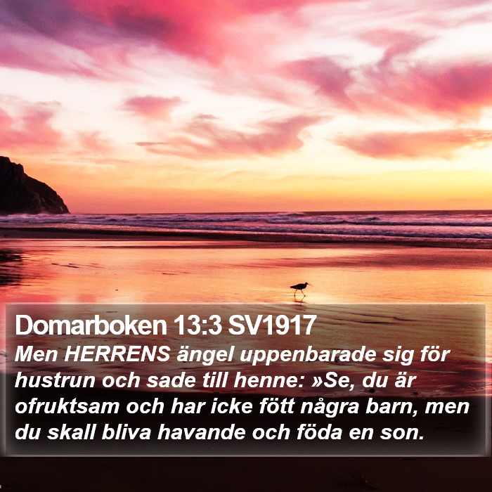 Domarboken 13:3 SV1917 Bible Study