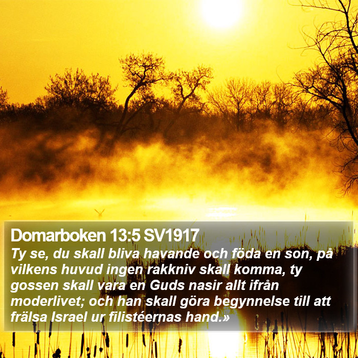 Domarboken 13:5 SV1917 Bible Study