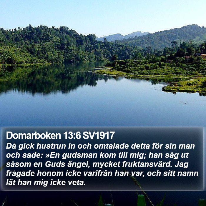 Domarboken 13:6 SV1917 Bible Study