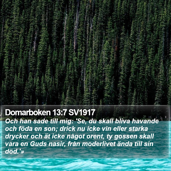 Domarboken 13:7 SV1917 Bible Study