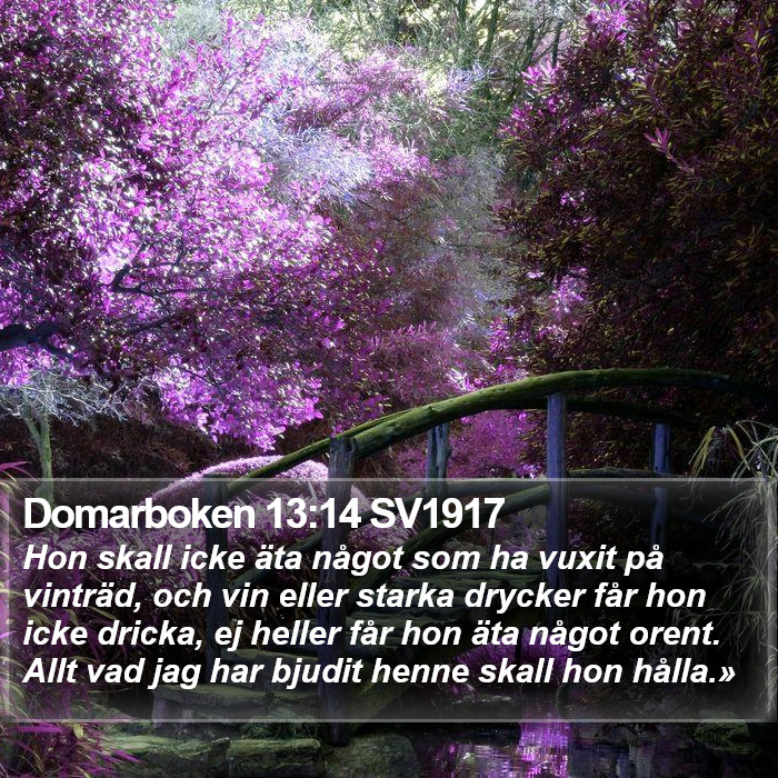 Domarboken 13:14 SV1917 Bible Study