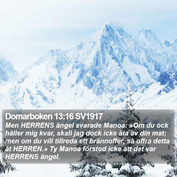 Domarboken 13:16 SV1917 Bible Study