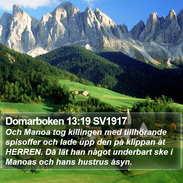 Domarboken 13:19 SV1917 Bible Study