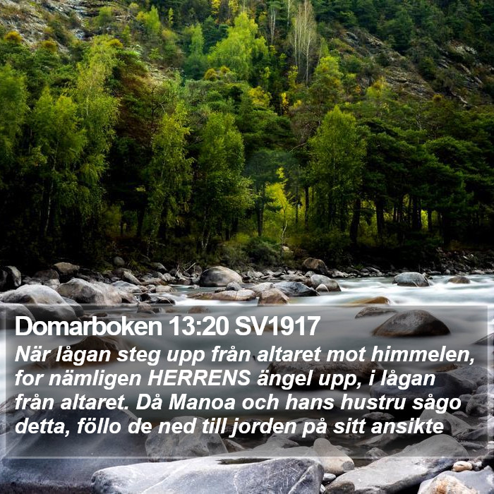 Domarboken 13:20 SV1917 Bible Study