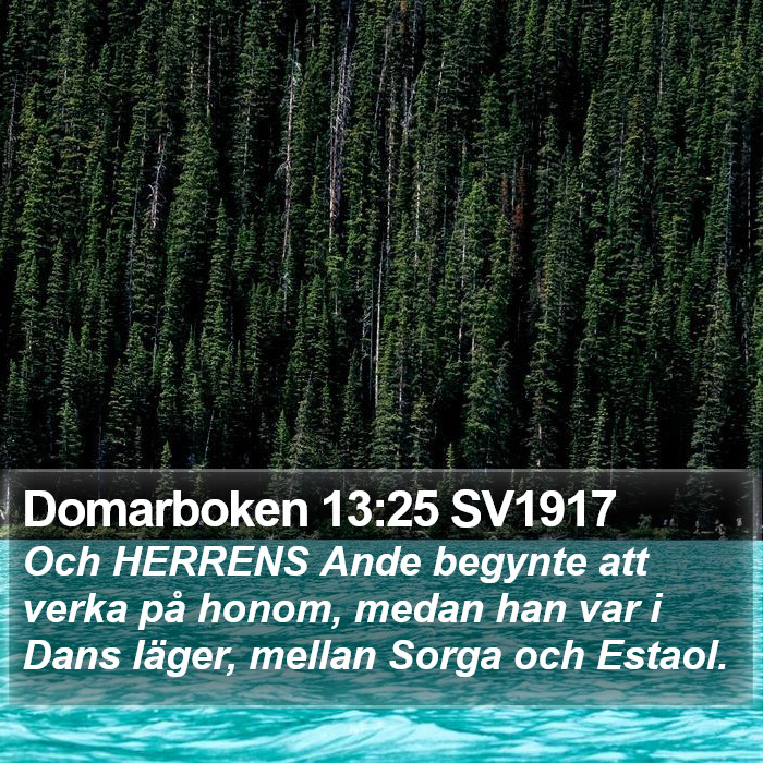 Domarboken 13:25 SV1917 Bible Study