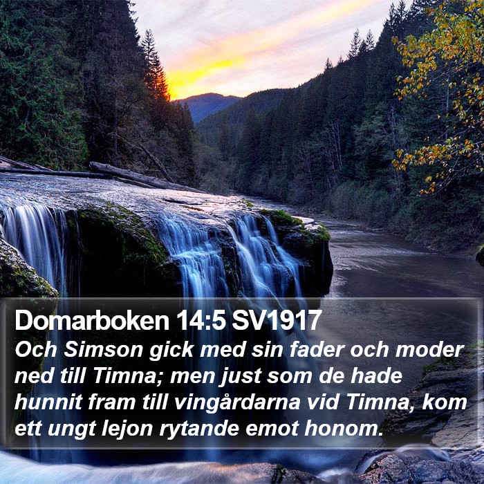 Domarboken 14:5 SV1917 Bible Study