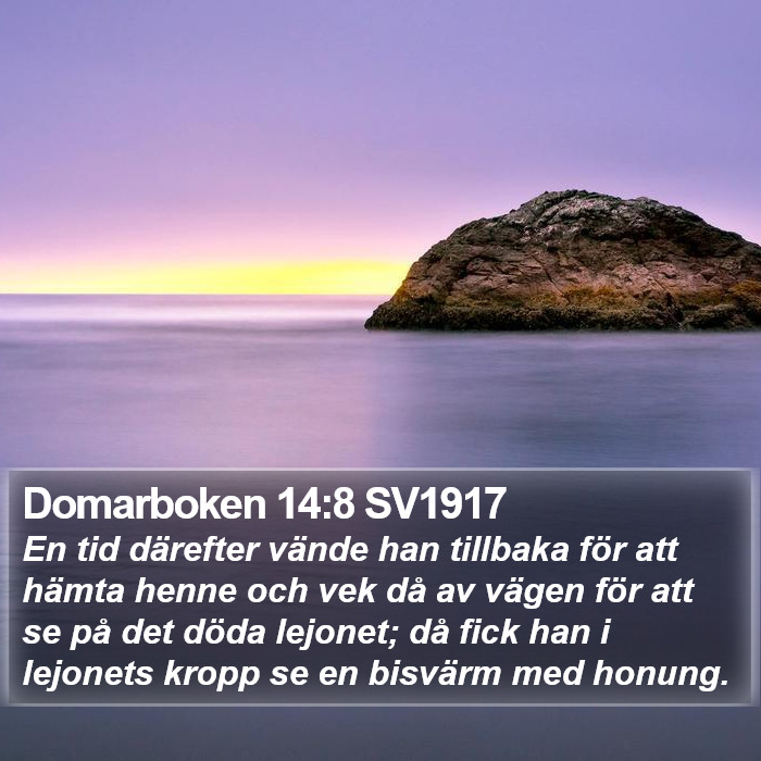 Domarboken 14:8 SV1917 Bible Study