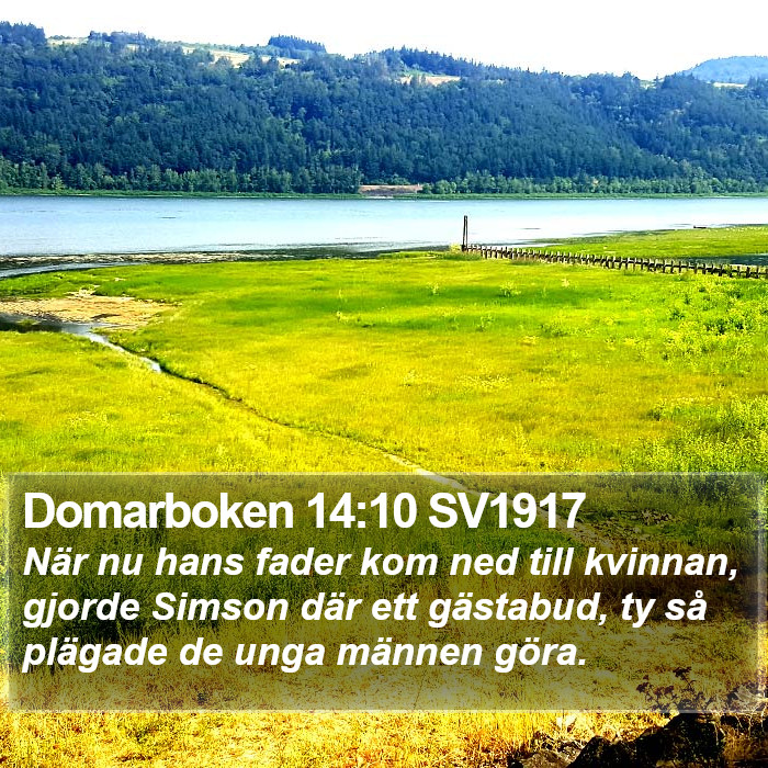 Domarboken 14:10 SV1917 Bible Study