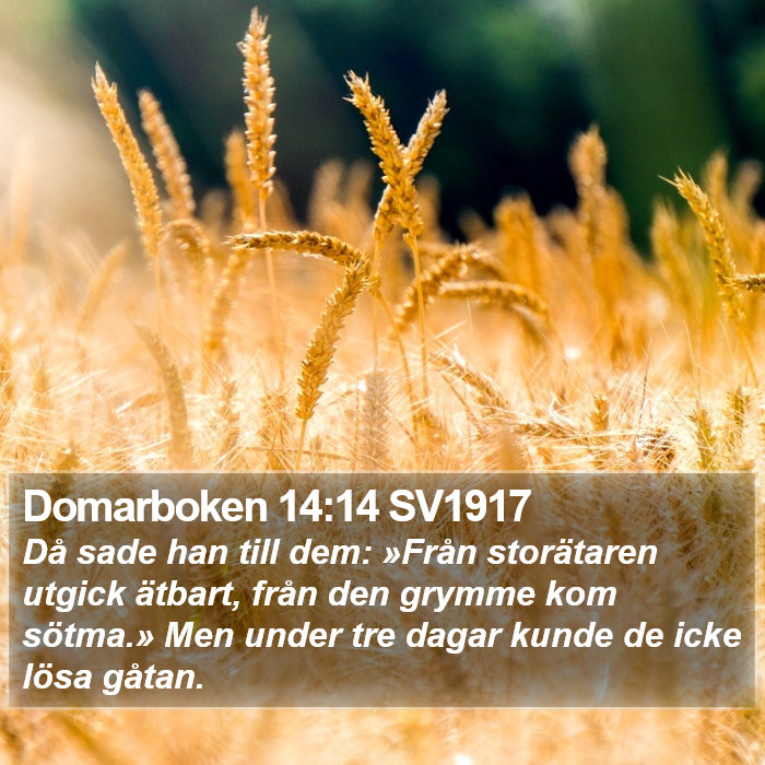 Domarboken 14:14 SV1917 Bible Study
