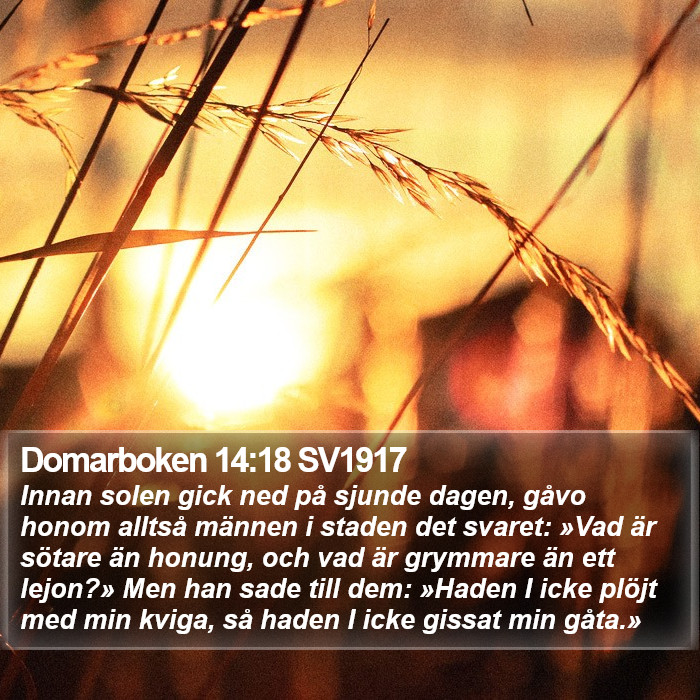 Domarboken 14:18 SV1917 Bible Study