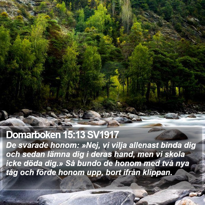 Domarboken 15:13 SV1917 Bible Study