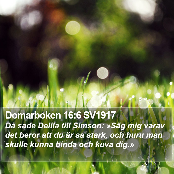 Domarboken 16:6 SV1917 Bible Study
