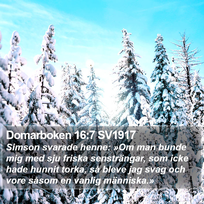 Domarboken 16:7 SV1917 Bible Study