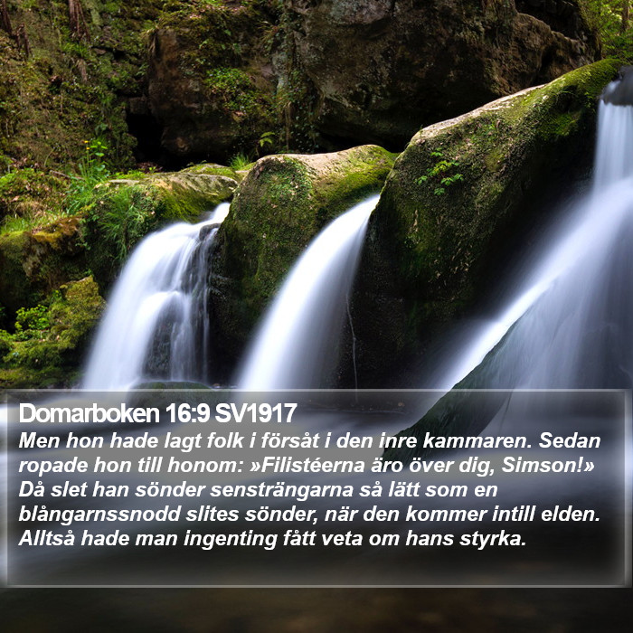 Domarboken 16:9 SV1917 Bible Study