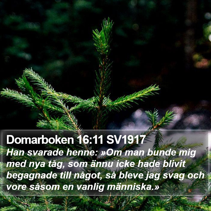 Domarboken 16:11 SV1917 Bible Study