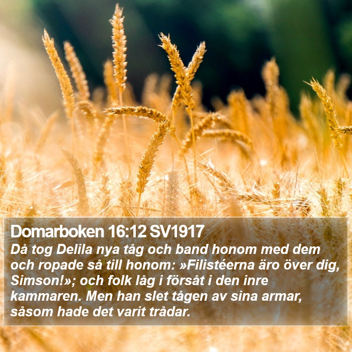 Domarboken 16:12 SV1917 Bible Study