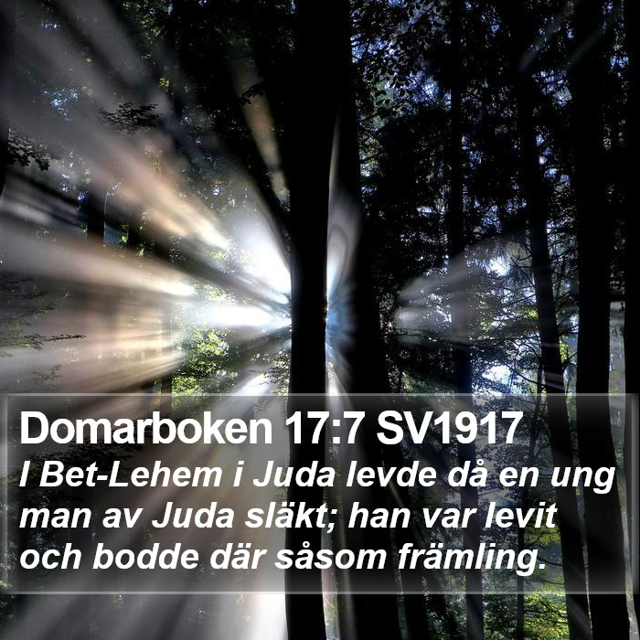 Domarboken 17:7 SV1917 Bible Study