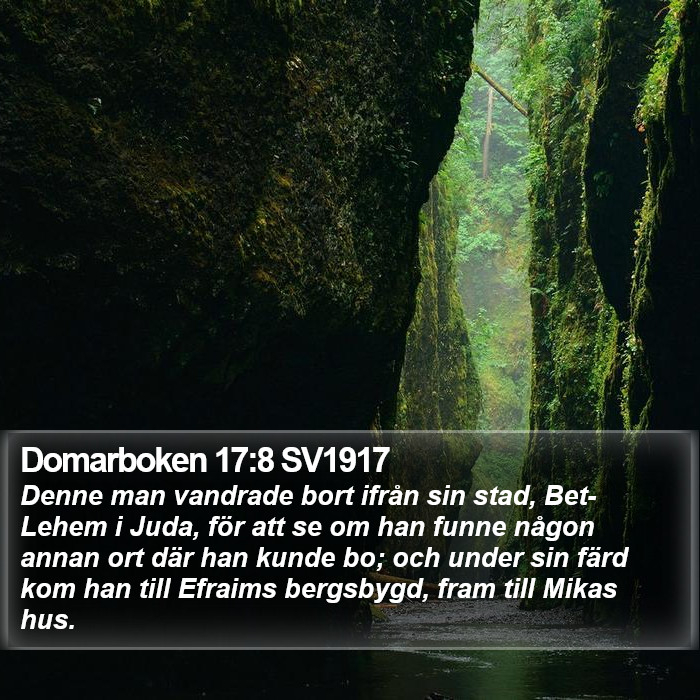 Domarboken 17:8 SV1917 Bible Study