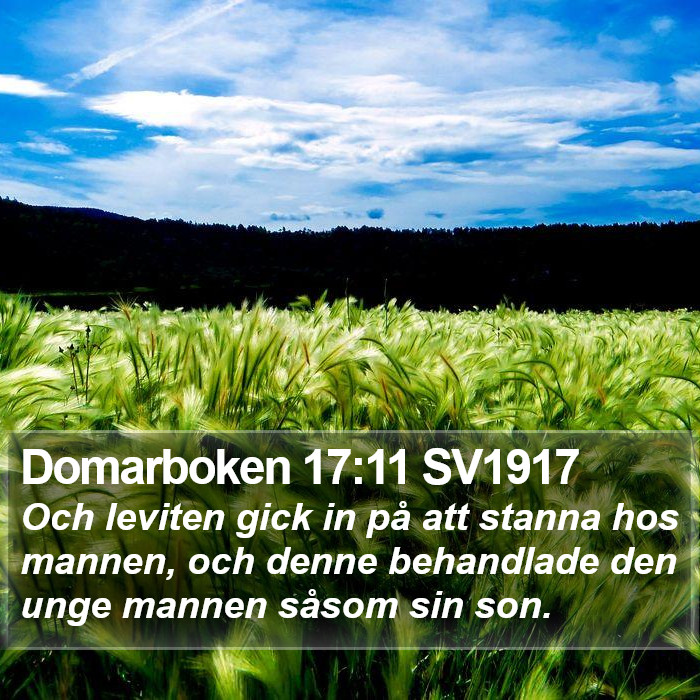 Domarboken 17:11 SV1917 Bible Study