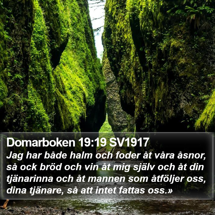 Domarboken 19:19 SV1917 Bible Study