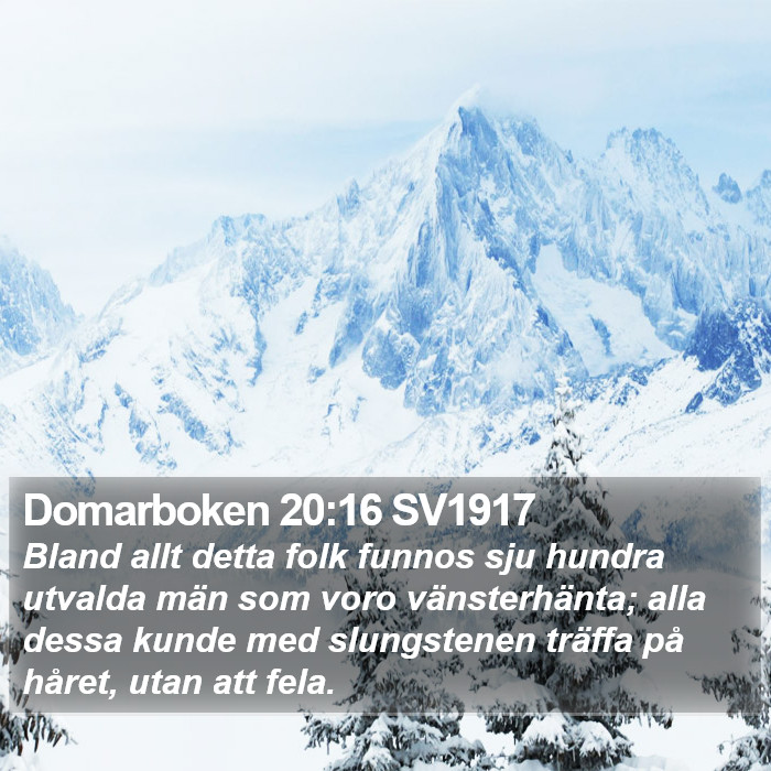 Domarboken 20:16 SV1917 Bible Study