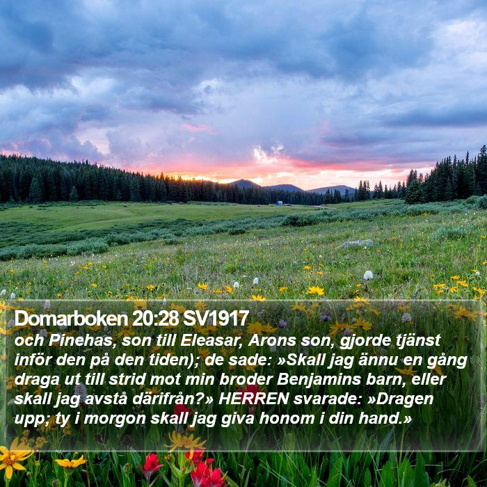 Domarboken 20:28 SV1917 Bible Study