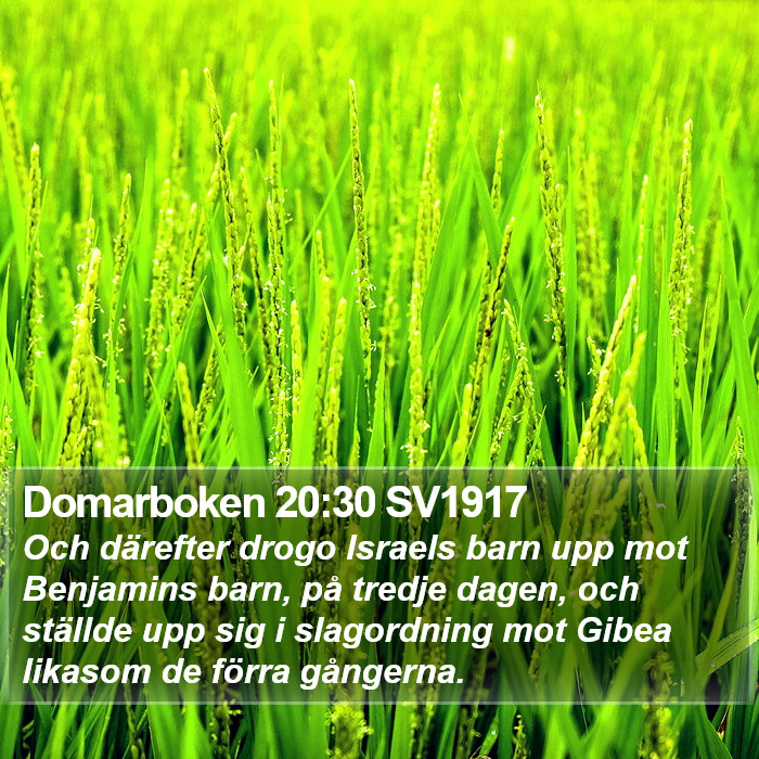 Domarboken 20:30 SV1917 Bible Study