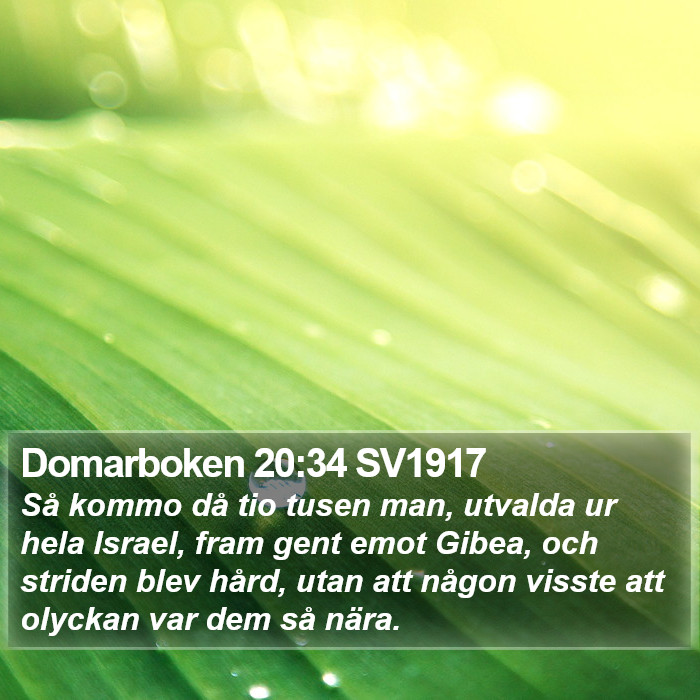 Domarboken 20:34 SV1917 Bible Study