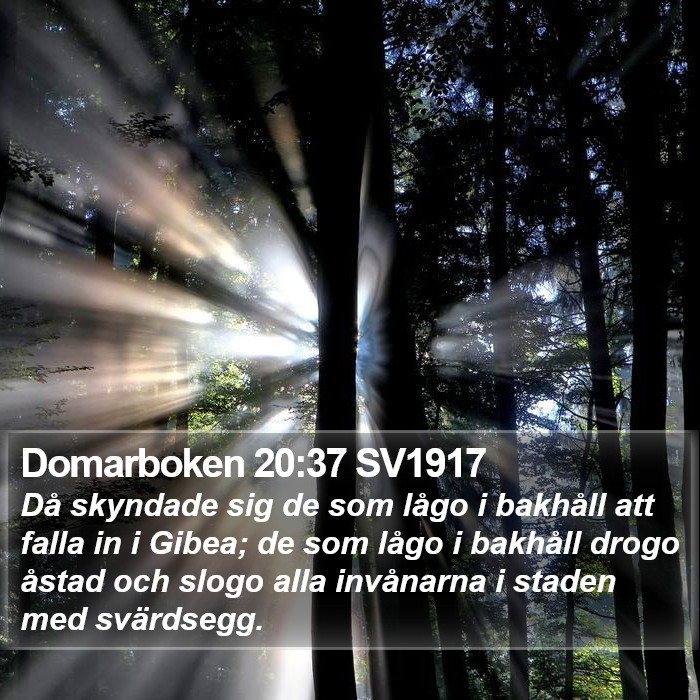 Domarboken 20:37 SV1917 Bible Study