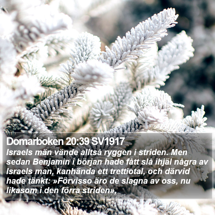 Domarboken 20:39 SV1917 Bible Study