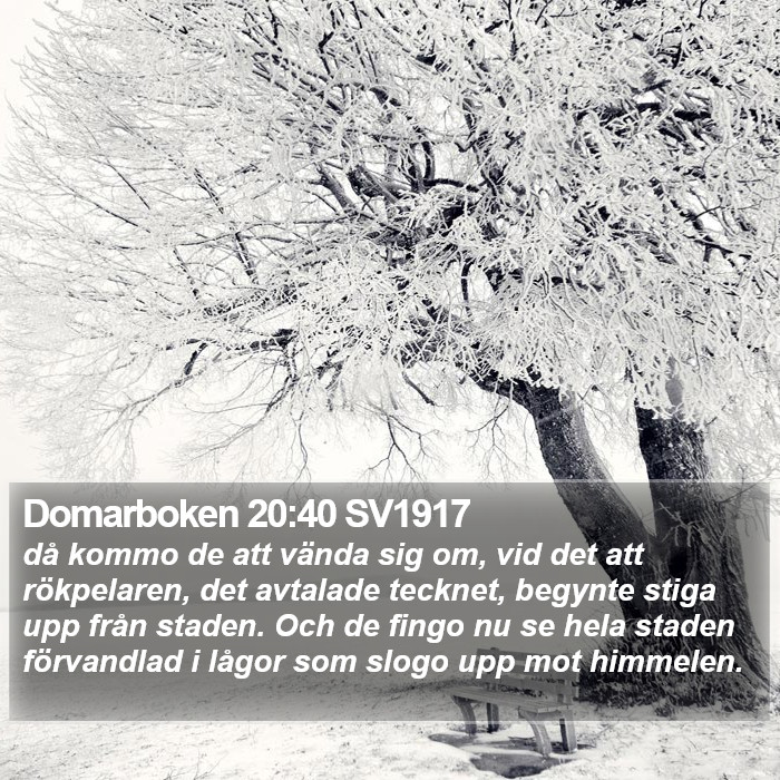 Domarboken 20:40 SV1917 Bible Study