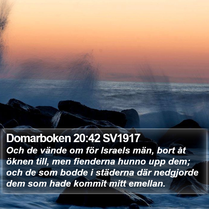 Domarboken 20:42 SV1917 Bible Study