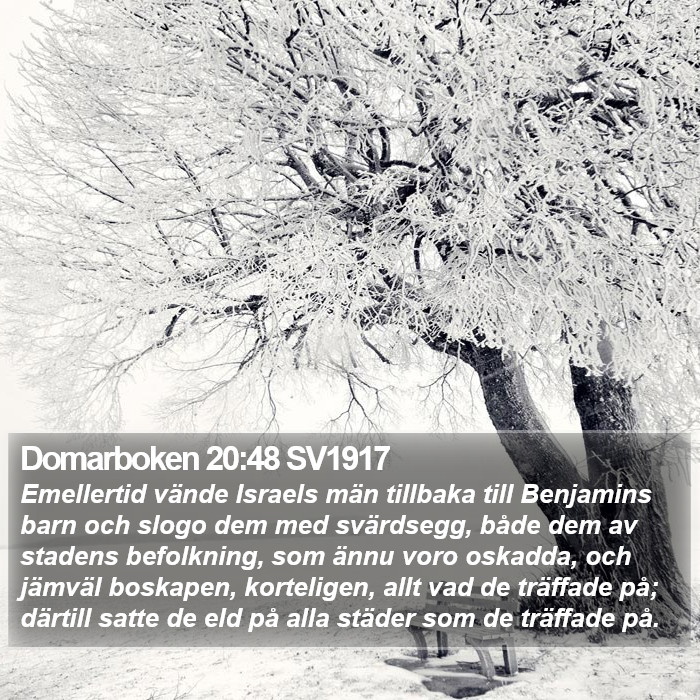 Domarboken 20:48 SV1917 Bible Study