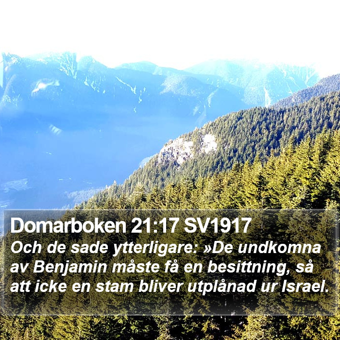 Domarboken 21:17 SV1917 Bible Study