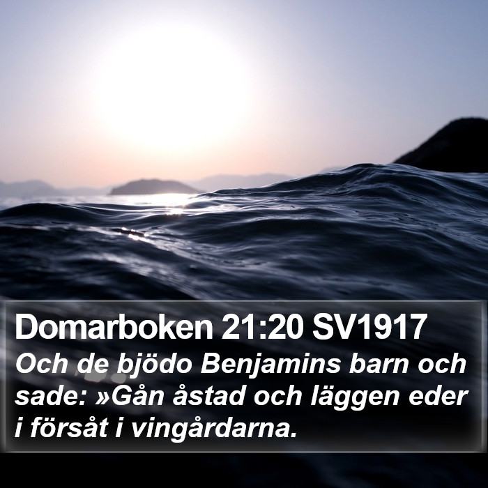 Domarboken 21:20 SV1917 Bible Study