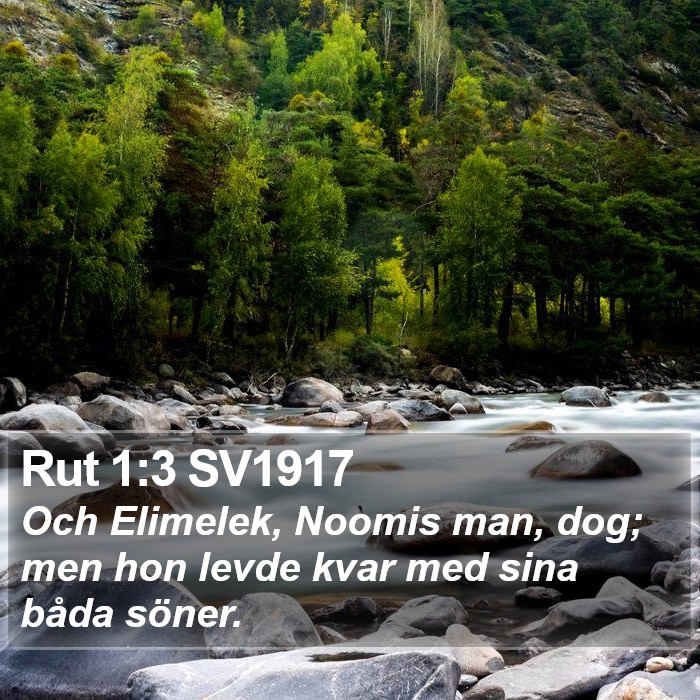 Rut 1:3 SV1917 Bible Study