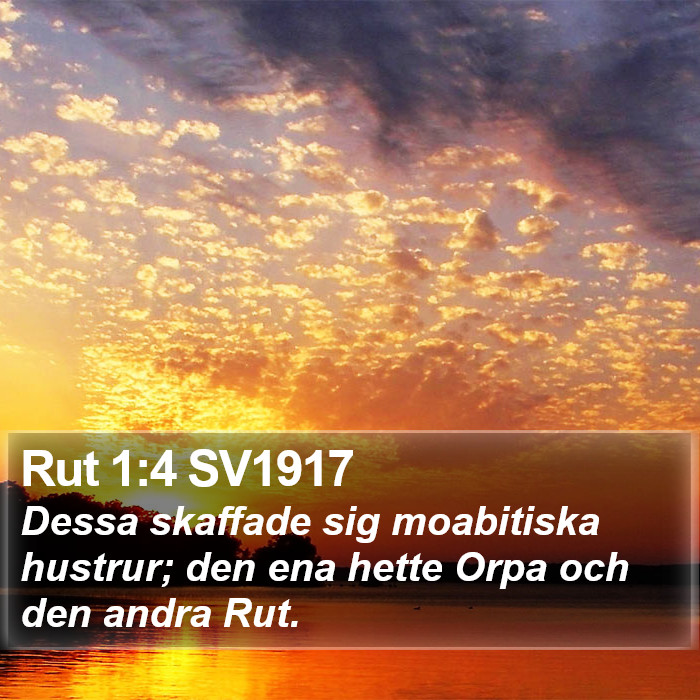 Rut 1:4 SV1917 Bible Study