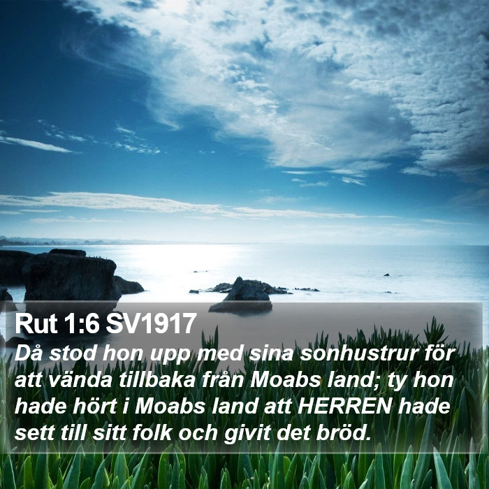 Rut 1:6 SV1917 Bible Study