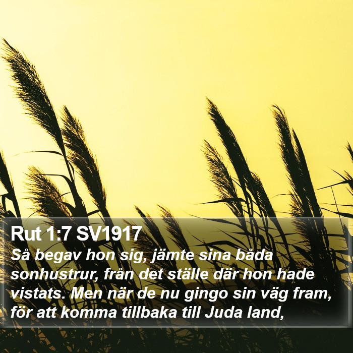 Rut 1:7 SV1917 Bible Study