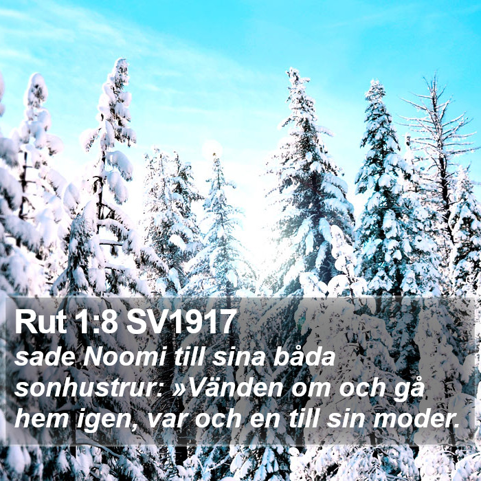 Rut 1:8 SV1917 Bible Study