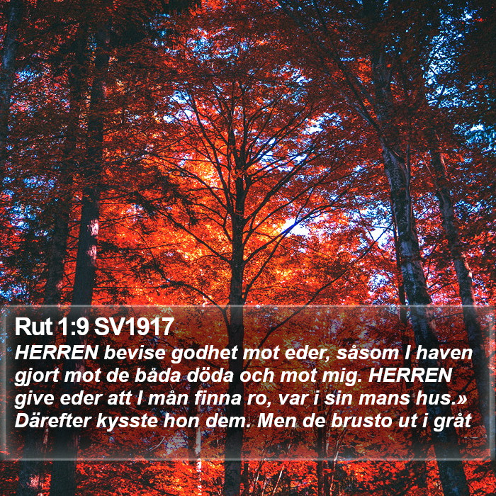 Rut 1:9 SV1917 Bible Study