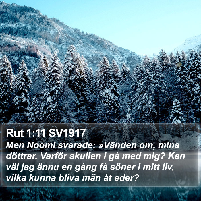 Rut 1:11 SV1917 Bible Study