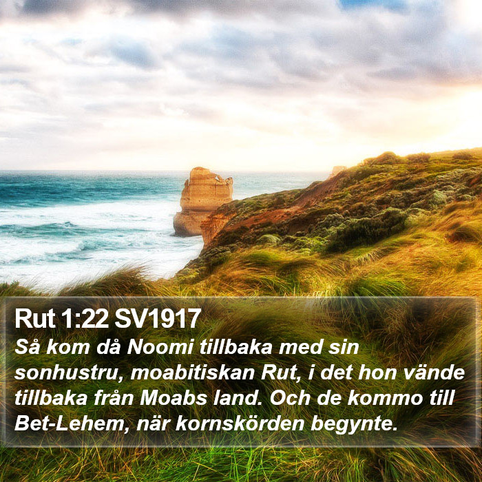 Rut 1:22 SV1917 Bible Study