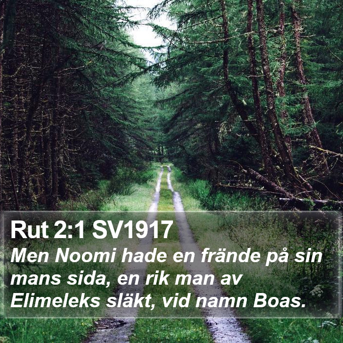 Rut 2:1 SV1917 Bible Study