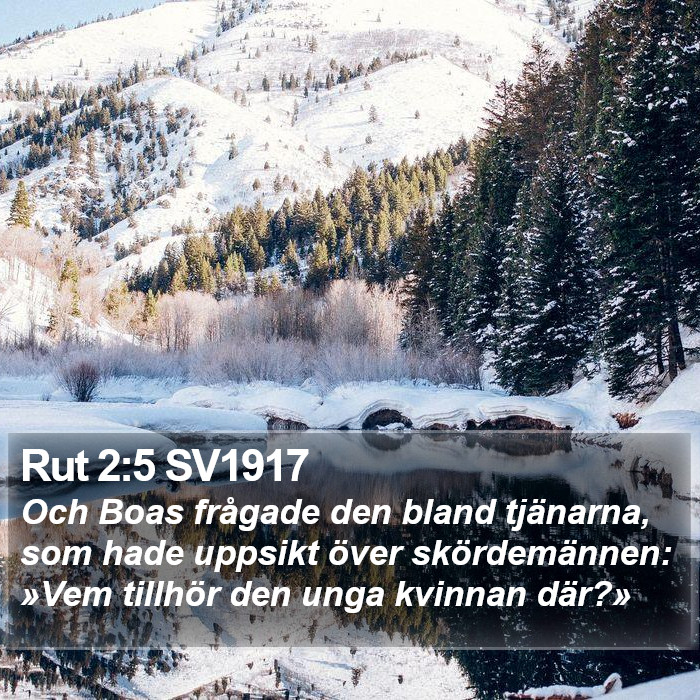 Rut 2:5 SV1917 Bible Study