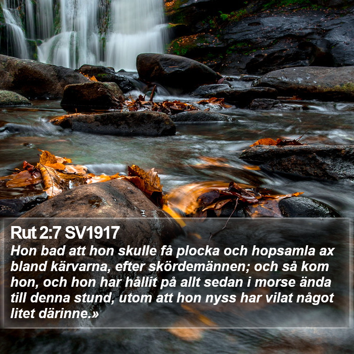 Rut 2:7 SV1917 Bible Study