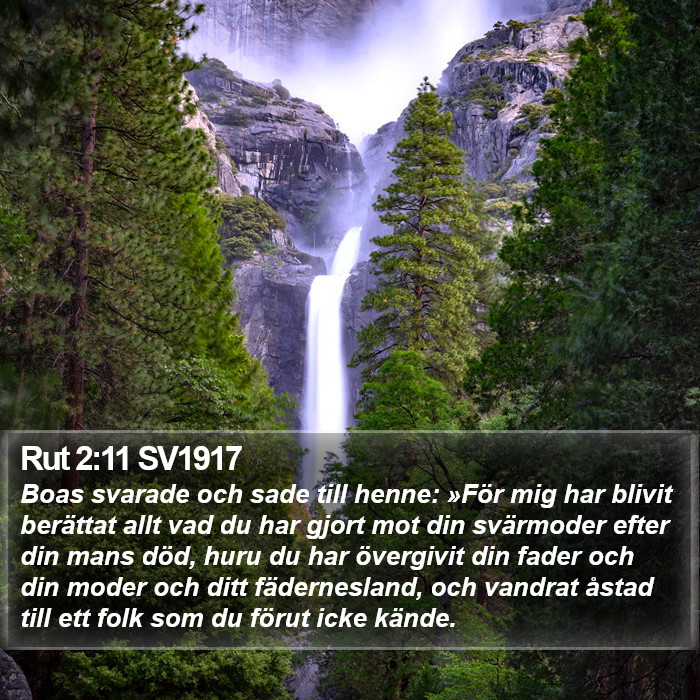 Rut 2:11 SV1917 Bible Study